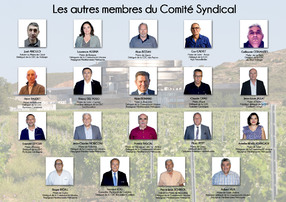 Les autres membres du comit Syndical du Sydetom66