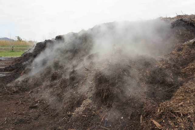 Le compostage sur les plates formes de dechets verts